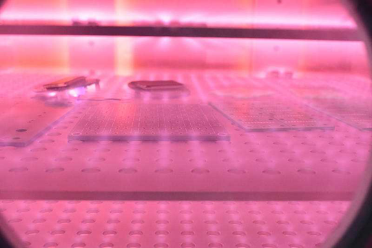 真空蜜桃网站在线观看机