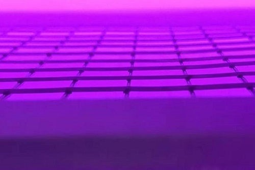 低压蜜桃网站在线观看机