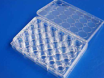 生物培养板等离子处理提升亲水性-蜜桃精品成人影片蜜桃网站在线观看机