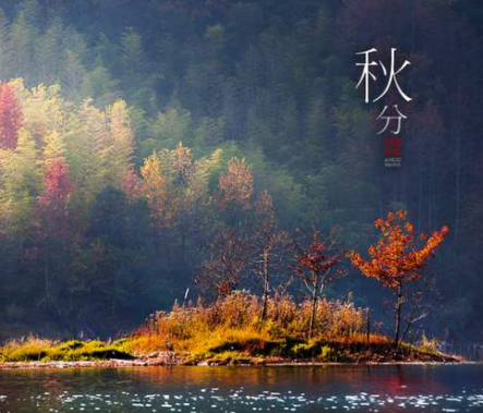 2020秋分-蜜桃精品成人影片蜜桃网站在线观看机
